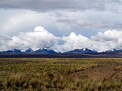 The Bolivian Altiplano at about 4,250 m (14,000 feet): The snow-covered peaks of the Cordillera Real rise in the background.