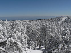 The Troodos Mountains experience heavy snowfall in winter.