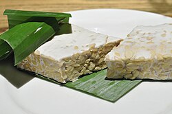 Tempeh