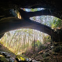 The Natural Bridge Rock in Winston County is the longest natural bridge east of the Rockies.