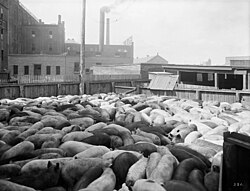 The William Davies Company facilities in Toronto, Ontario, Canada, circa 1920. This facility was then the third largest hog-packing plant in North America.