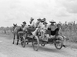 "Mulattos returning from town with groceries and supplies near Melrose, Natchitoches Parish, Louisiana." Marion Post Wolcott, Farm Security Administration, July 1940