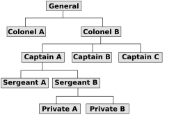 A simple military organizational hierarchy depicted in the form of a tree. Diagrams like this exemplify organizational charts.