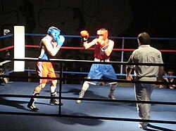 Boxer (right) using a traditional guard