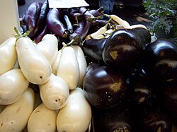 Three cultivars of eggplant, showing size, shape, and color differences