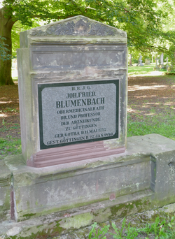 Blumenbach's gravestone