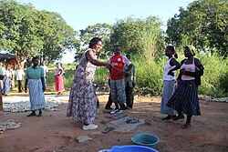 Villagers go to the place where meals are prepared to observe how flies are attracted to human feces and carry diseases by landing on the food (a village near Lake Malawi, Malawi).
