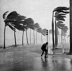 A man battles strong winds during the hurricane at South Flagler Drive in West Palm Beach