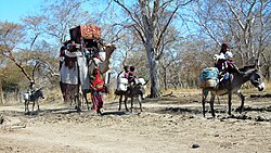 Movement of nomads in Chad