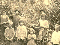 Ukrainian immigrants harvest yerba mate in 1920. Despite challenging conditions, Misiones attracted considerable European immigration in the early 20th-century