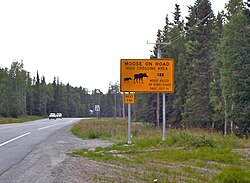 Moose crossing sign with kill counter, Kenai, Alaska. Trees and brush near the road are trimmed back to make approaching moose easier to see.