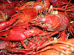 Louisiana-style crawfish boil