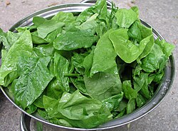 Spinach leaves in a colander