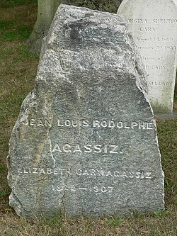 Agassiz's gravestone is a boulder from the moraine of the Aar Glaciers, near where he once lived.