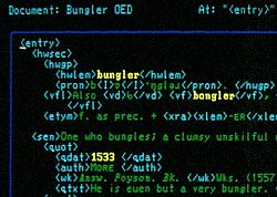 Editing an entry of the NOED using LEXX