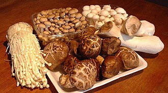A selection of edible Asian fungi