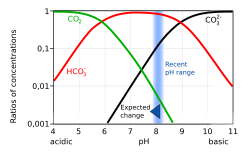 Seawater acidification