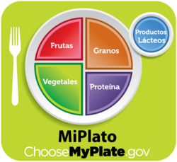 MyPlate guidelines translated into Spanish