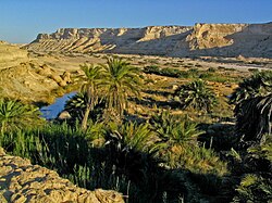 An oasis in Oman