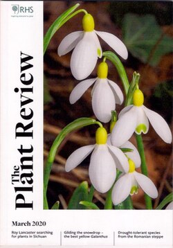 Front cover of The Plant Review from March 2020. The cover photograph is of Galanthus 'Spindlestone Surprise' taken by Simon Garbutt