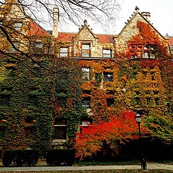 Ivy-colored building with various shades of color