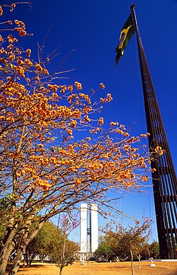 Brazilian Flag and the National Congress in spring