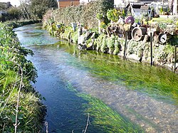 Sydling Water at Sydling St Nicholas