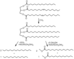 Two general pathways for biodiesels from a fat. The process starts with hydrogenation of backbone double bonds. Fatty acid methyl esters can then be produced by transesterification. C16 and C18 diesel fuels arise by hydrogenolysis of the saturated fat.