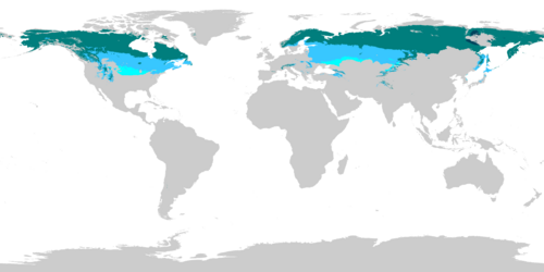 Regions where the continental climates (Dfa, Dfb, Dfc, Dfd) are found as of 1991-2020, using a threshold of −3 °C (27 °F) for the coldest month. Dfa Dfb Dfc Dfd