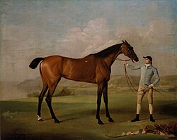 Stubbs's Molly Long-legs with her Jockey (1761–62), a more typical racehorse portrait (101 × 127 cm)