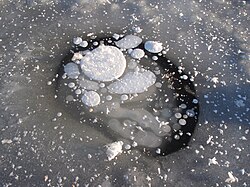 Frozen methane bubbles on a lake