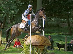 "Skinny" fences are designed to test the training of the horse and the rider's ability to ride accurately, and provide the horse an easy "way out" if the rider does a poor job