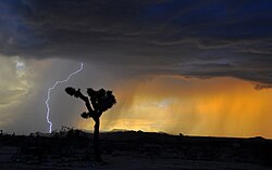 A violent electrical storm results from convective cumulonimbus above the LCL.