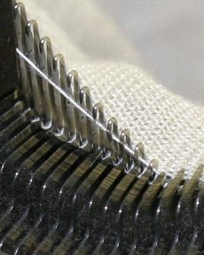 Close-up on the needles.