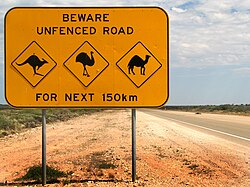 Traffic signs are often used to warn of areas with increased animal activity. These signs are not always successful, as shown by the dead emu in the far distance to the right of the sign.