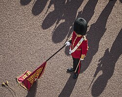 The Queen's colour of the Coldstream Guards in 2018.