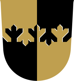 A shield parted per pale and per fir twig fess. Coat of arms of former Finnish municipality of Varpaisjärvi