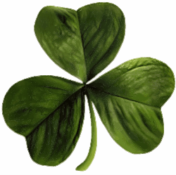 A wood sorrel, often called a shamrock, especially in the United States