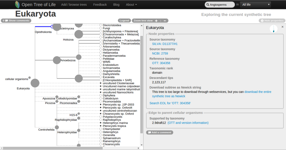 The tree of life at the node Eukaryota