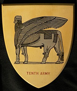 10th Army insignia