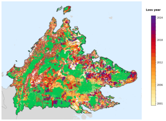 Map of Sabah showing tree-cover loss years, with forest remaining since 2000 in green and loss years shaded yellow through purple.