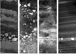 Sediment types from the Southern Ocean showing many different grain sizes: A) gravel and sand, B) gravel, C) bioturbated mud and sand, and D) laminated clays and silts.[10]