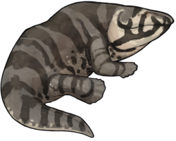 Ichthyostega (a four-limbed stem-tetrapod, Late Devonian)