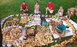 Food recovered by food waste critic Robin Greenfield in Madison, Wisconsin, from two days of recovery from dumpsters[102]