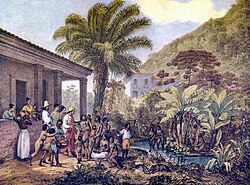 Indigenous people at a farm plantation in Minas Gerais in present-day Brazil, c. 1824