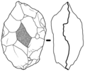 Nucleiform