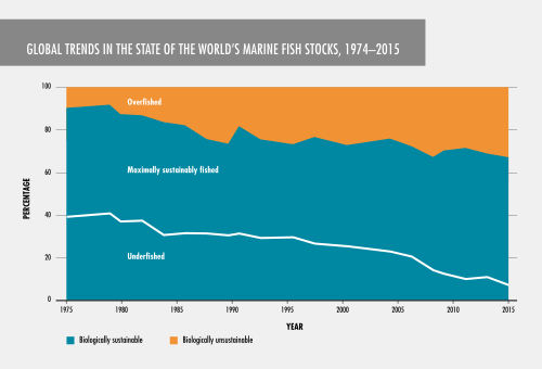 Global trends in the state of world marine fish stocksas reported by FAO 1974–2015