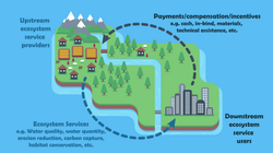 Payments for Ecosystem Services (PES)