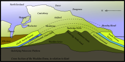 Geological cross-section of Kent, showing how it relates to major towns
