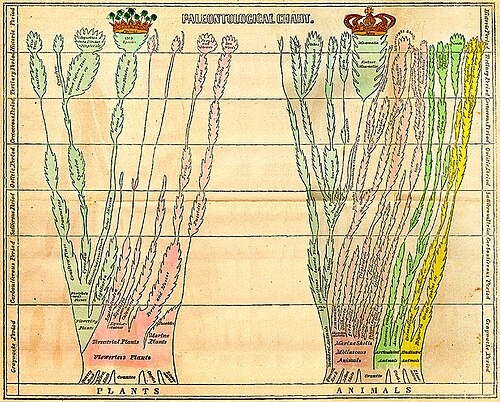 Edward Hitchcock's fold-out paleontological chart in his 1840 Elementary Geology